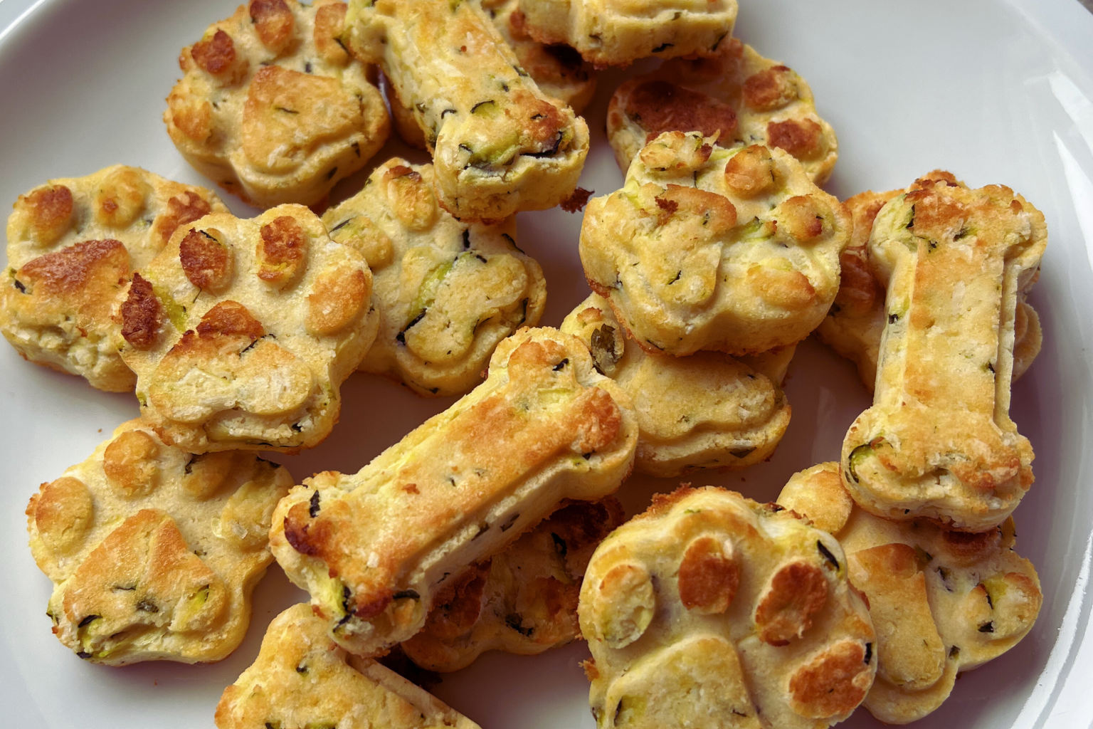 Baked Dog Treats with Coconut and Zucchini: Tropical Delight