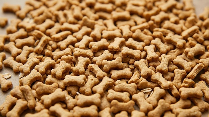 Sweet Potato Dog Treats: Mini Sweet Potato Oat Bites
