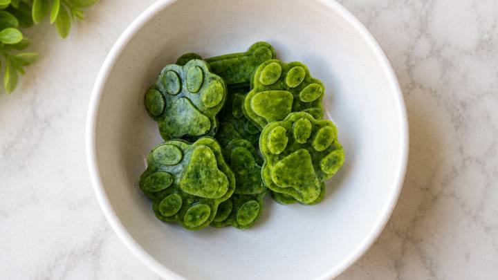 Frozen Dog Treats: Pea, Parsley and Broth Pops