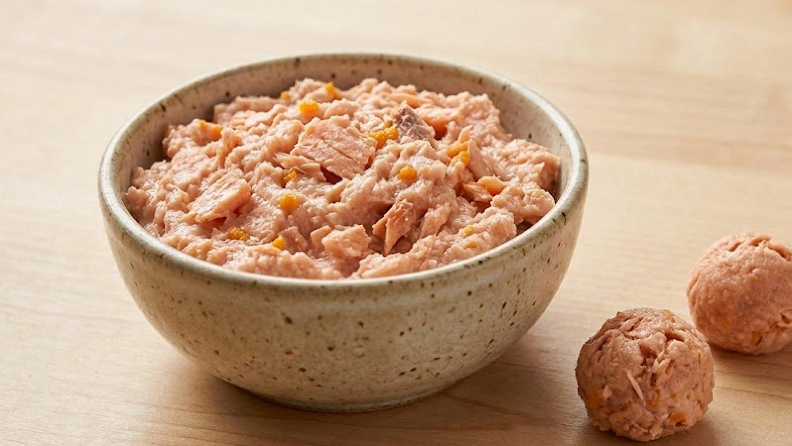 Salmon Cat Treats: Easy Homemade Salmon Paste