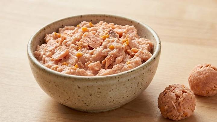 Salmon Cat Treats: Easy Homemade Salmon Paste