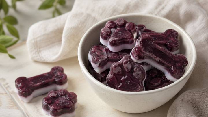 Frozen Dog Treats: Blueberry Yogurt Clouds