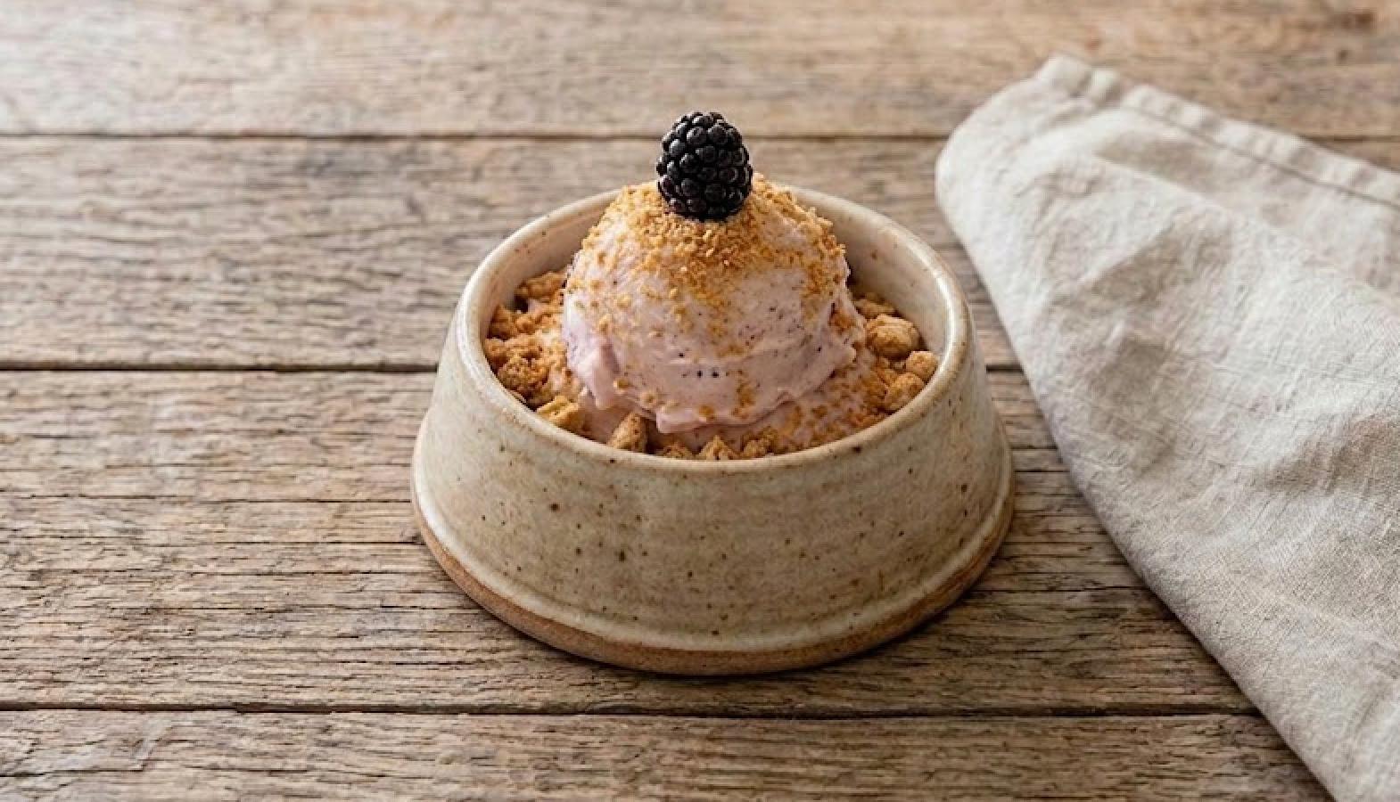 Dog Ice Cream Recipe: Berry Cheesecake
