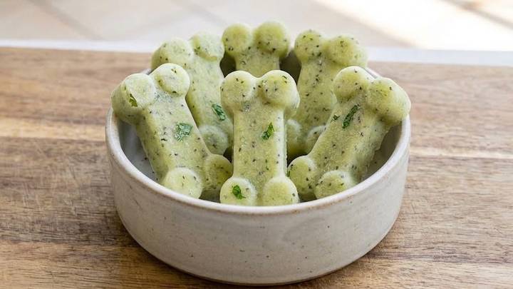Frozen Dog Treats: Kiwi and Honeydew Bowl