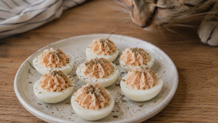 Quail Egg Cat Treats: Mini Deviled Eggs