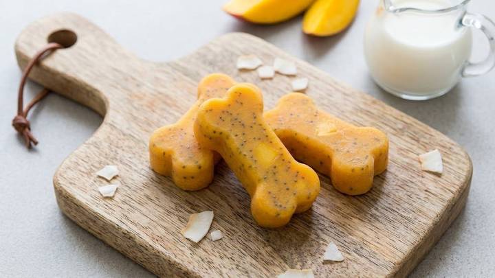 Pupsicle Recipe for Dogs: Mango and Goat Milk