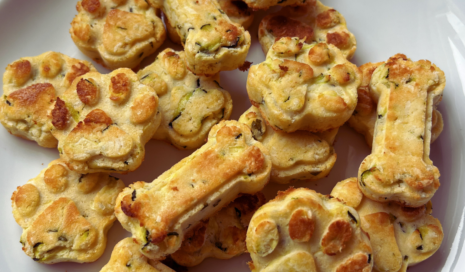 Baked Dog Treats: Coconut and Zucchini Biscuits