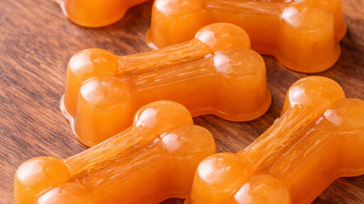 Pumpkin Dog Treats: Bone Broth Gummies